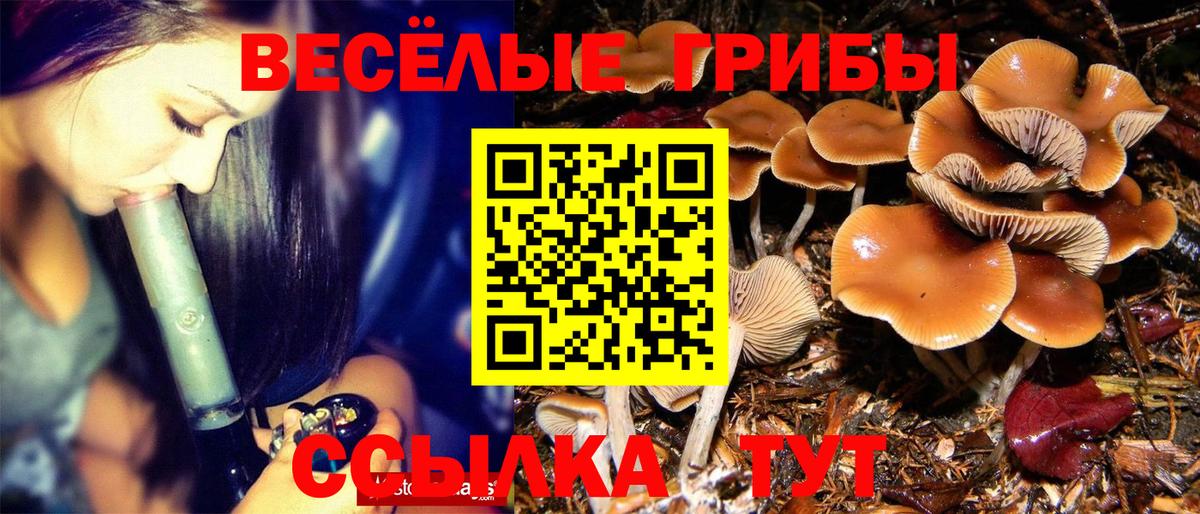 Псилоцибиновые грибы GOLDEN TEACHER Улан-Удэ